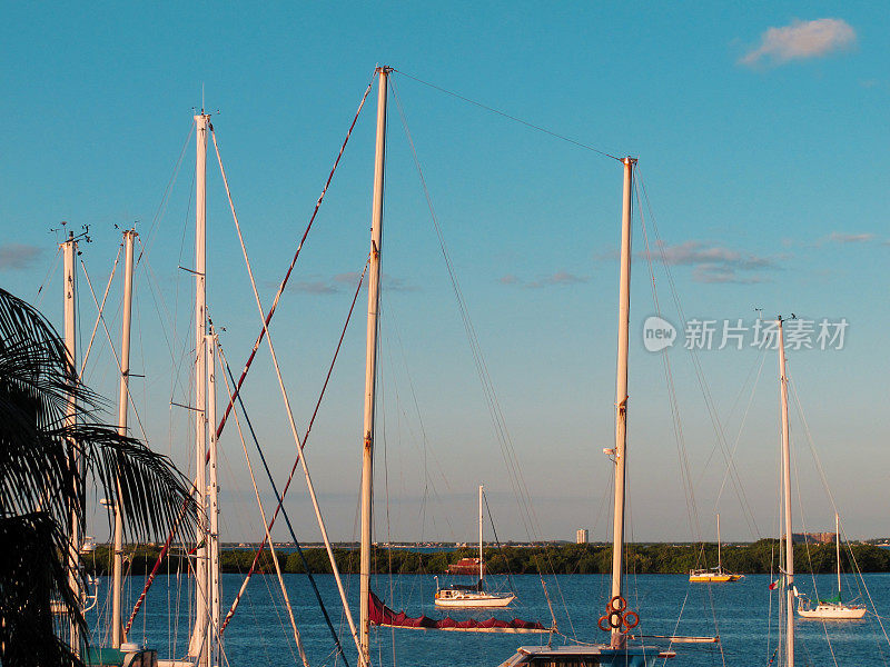 日落在游艇码头，加勒比岛Isla Mujeres，墨西哥